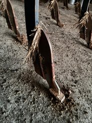 Déchaumeur à dents Agrisem SMARTPLOW 4M REPLIABLE PORTE - 8