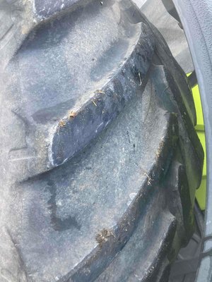 Tracteur agricole Claas ARION 550