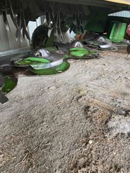 Faucheuse conditionneuse Krone EASYCUT 3201CV - 3